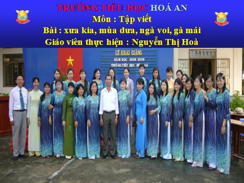 Tuần 34. Tô chữ hoa: X, Y