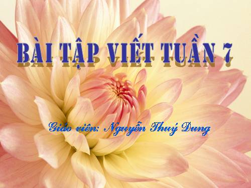 Tập viết