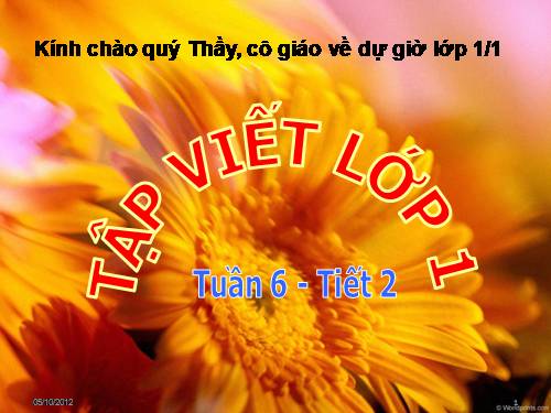 Tap viet lop 1 tuan 6