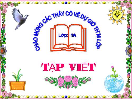 tập viết tuần 7