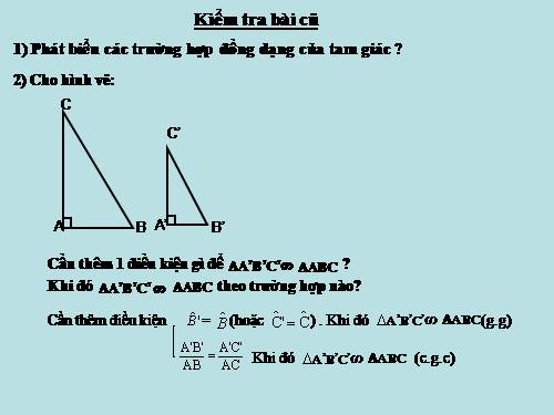 Chương III. §8. Các trường hợp đồng dạng của tam giác vuông