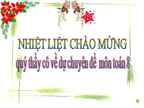 Chương III. §8. Các trường hợp đồng dạng của tam giác vuông