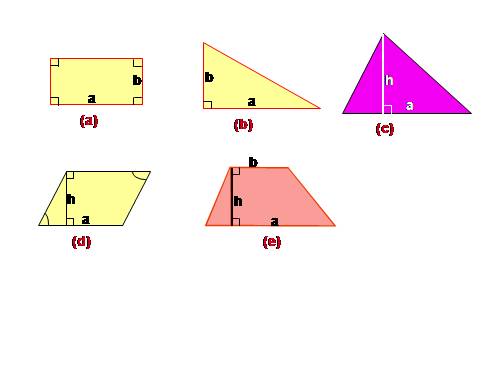 Chương II. §6. Diện tích đa giác