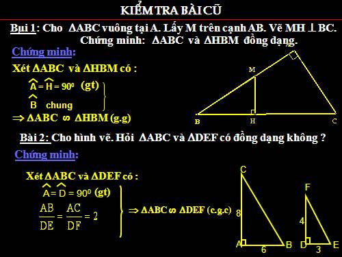 Chương III. §8. Các trường hợp đồng dạng của tam giác vuông