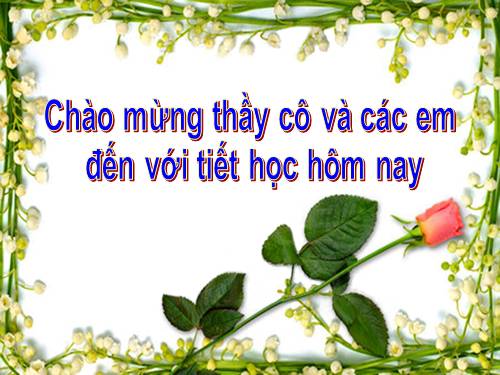 Chương III. §8. Các trường hợp đồng dạng của tam giác vuông