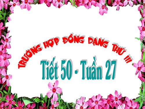 Chương III. §7. Trường hợp đồng dạng thứ ba