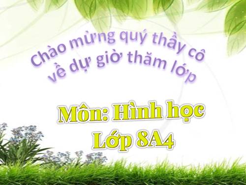 Chương I. §4. Đường trung bình của tam giác, của hình thang