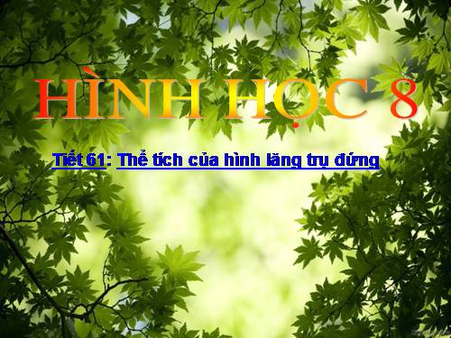 Chương IV. §6. Thể tích của hình lăng trụ đứng