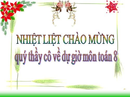 Chương III. §8. Các trường hợp đồng dạng của tam giác vuông