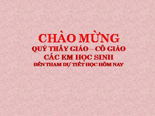 Chương II. §2. Diện tích hình chữ nhật