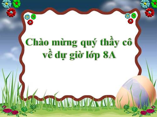 Chương III. §8. Các trường hợp đồng dạng của tam giác vuông