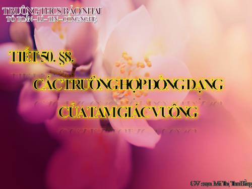 Chương III. §8. Các trường hợp đồng dạng của tam giác vuông