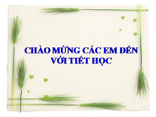 Chương II. §3. Diện tích tam giác