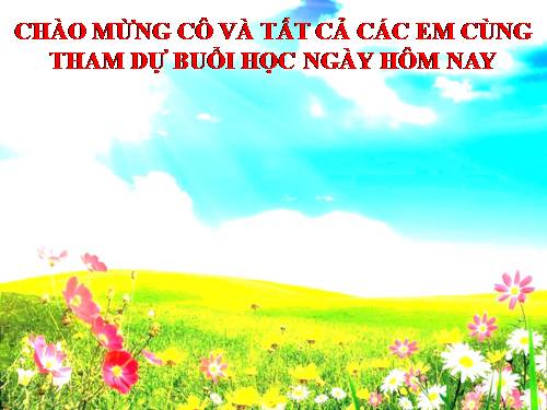 Chương III. §7. Trường hợp đồng dạng thứ ba