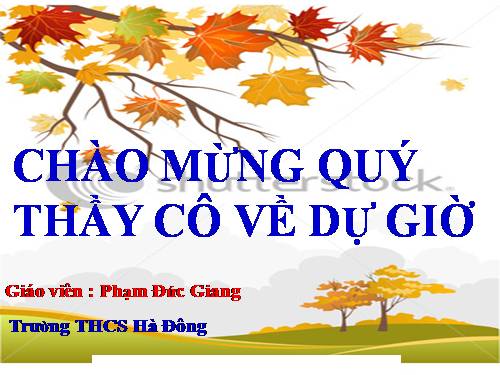 Chương II. §2. Diện tích hình chữ nhật