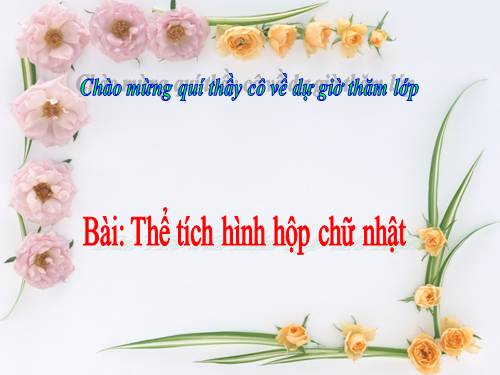 Chương IV. §3. Thể tích của hình hộp chữ nhật