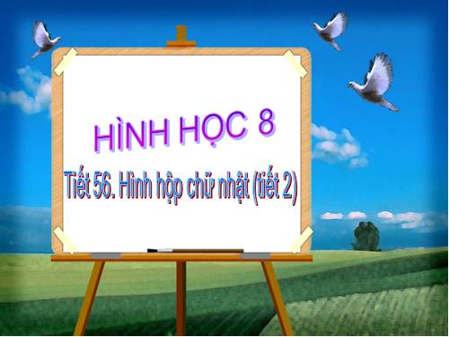 Chương IV. §2. Hình hộp chữ nhật (tiếp)