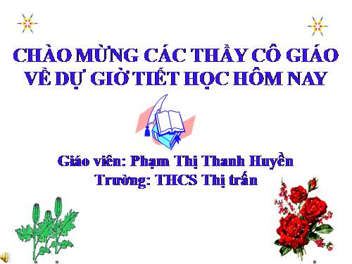 Chương II. §3. Diện tích tam giác