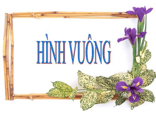 Chương I. §12. Hình vuông