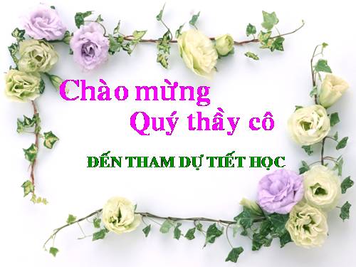 Chương I. §11. Hình thoi