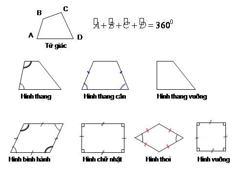 Các bài Luyện tập