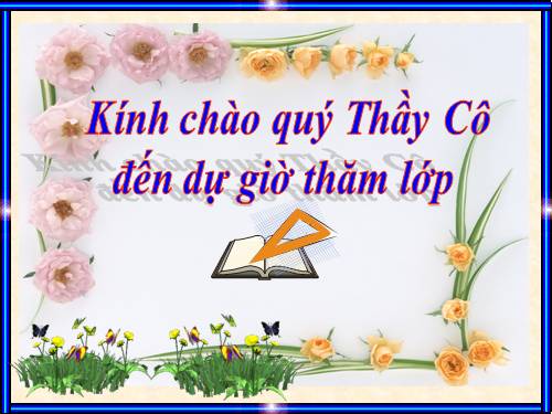 Chương III. §8. Các trường hợp đồng dạng của tam giác vuông