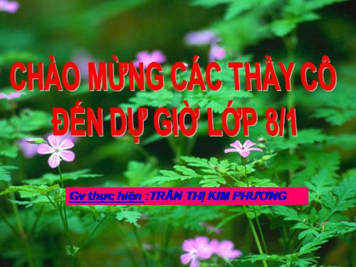 Chương III. §8. Các trường hợp đồng dạng của tam giác vuông