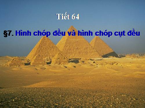 Chương IV. §7. Hình chóp đều và hình chóp cụt đều