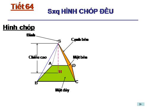 Chương IV. §7. Hình chóp đều và hình chóp cụt đều