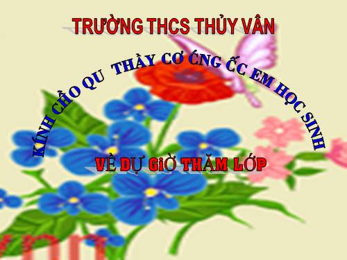 Chương IV. §2. Hình hộp chữ nhật (tiếp)