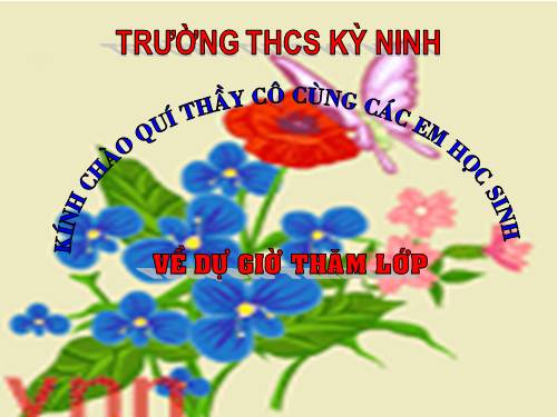 Chương IV. §2. Hình hộp chữ nhật (tiếp)