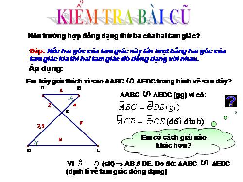 Các bài Luyện tập