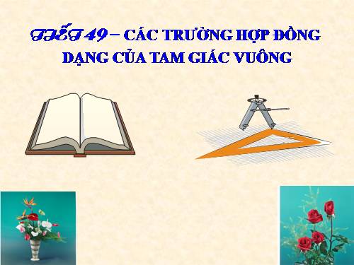 Chương III. §8. Các trường hợp đồng dạng của tam giác vuông