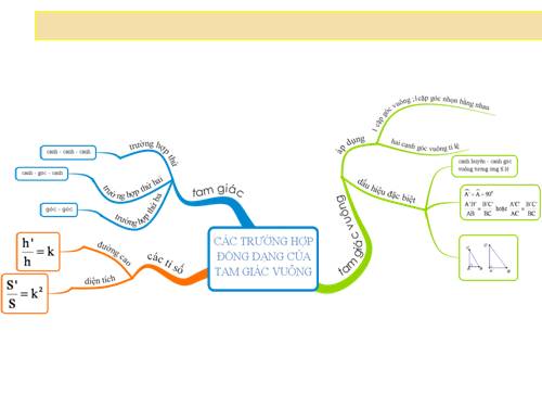 Chương III. §8. Các trường hợp đồng dạng của tam giác vuông