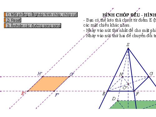 Chương IV. §7. Hình chóp đều và hình chóp cụt đều