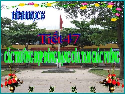 Chương III. §8. Các trường hợp đồng dạng của tam giác vuông