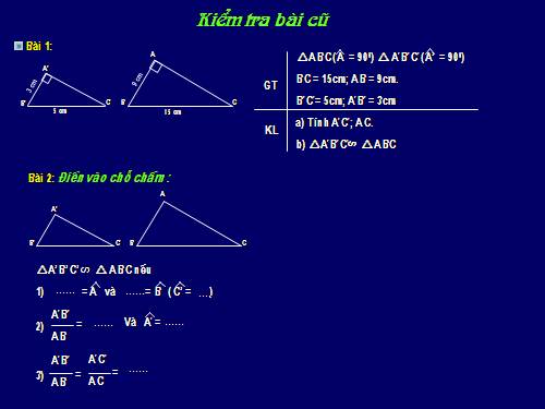 Chương III. §8. Các trường hợp đồng dạng của tam giác vuông