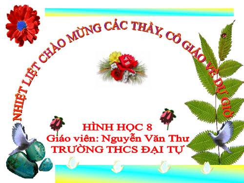 Các bài Luyện tập