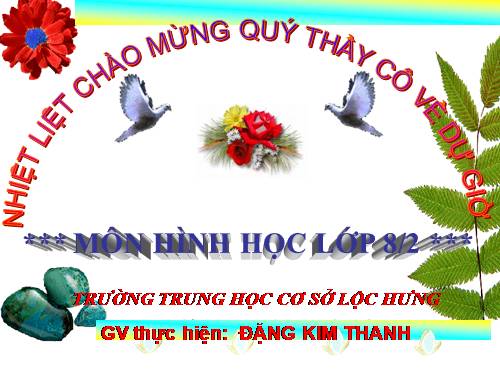 Chương II. §2. Diện tích hình chữ nhật