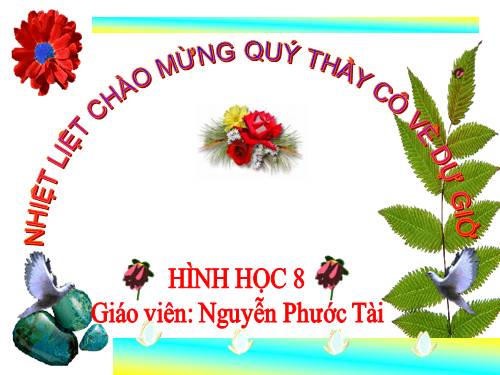 Chương II. §2. Diện tích hình chữ nhật