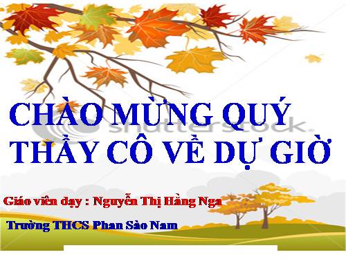 Chương II. §2. Diện tích hình chữ nhật