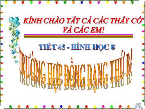 Chương III. §7. Trường hợp đồng dạng thứ ba