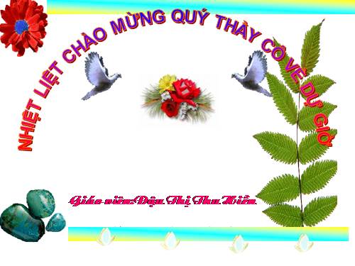 Chương II. §2. Diện tích hình chữ nhật