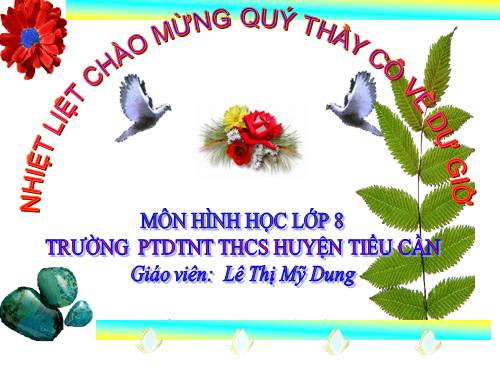 Chương II. §2. Diện tích hình chữ nhật