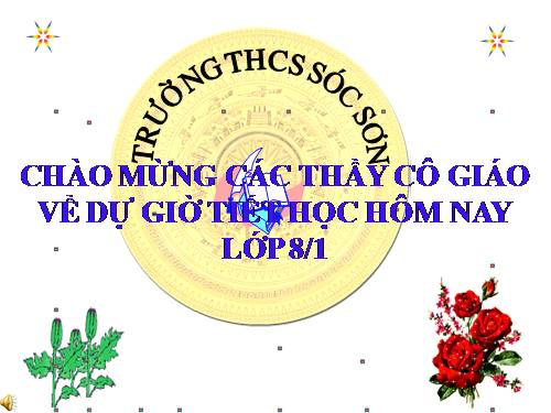 Chương II. §3. Diện tích tam giác