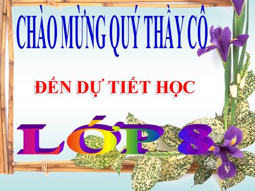 Chương I. §9. Hình chữ nhật