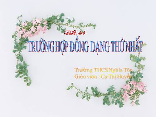 Chương III. §5. Trường hợp đồng dạng thứ nhất