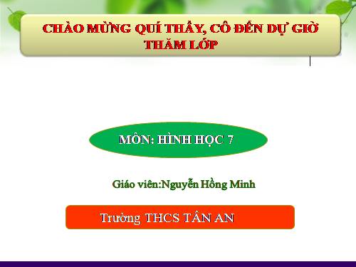 Chương III. §8. Các trường hợp đồng dạng của tam giác vuông