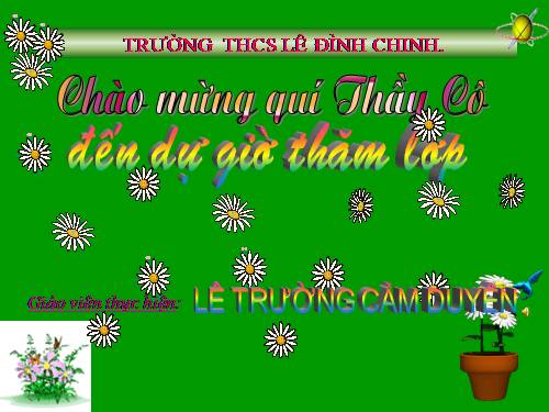 Chương II. §3. Diện tích tam giác