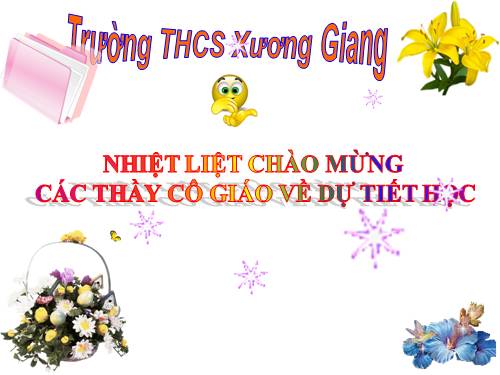 Chương IV. §8. Diện tích xung quanh của hình chóp đều